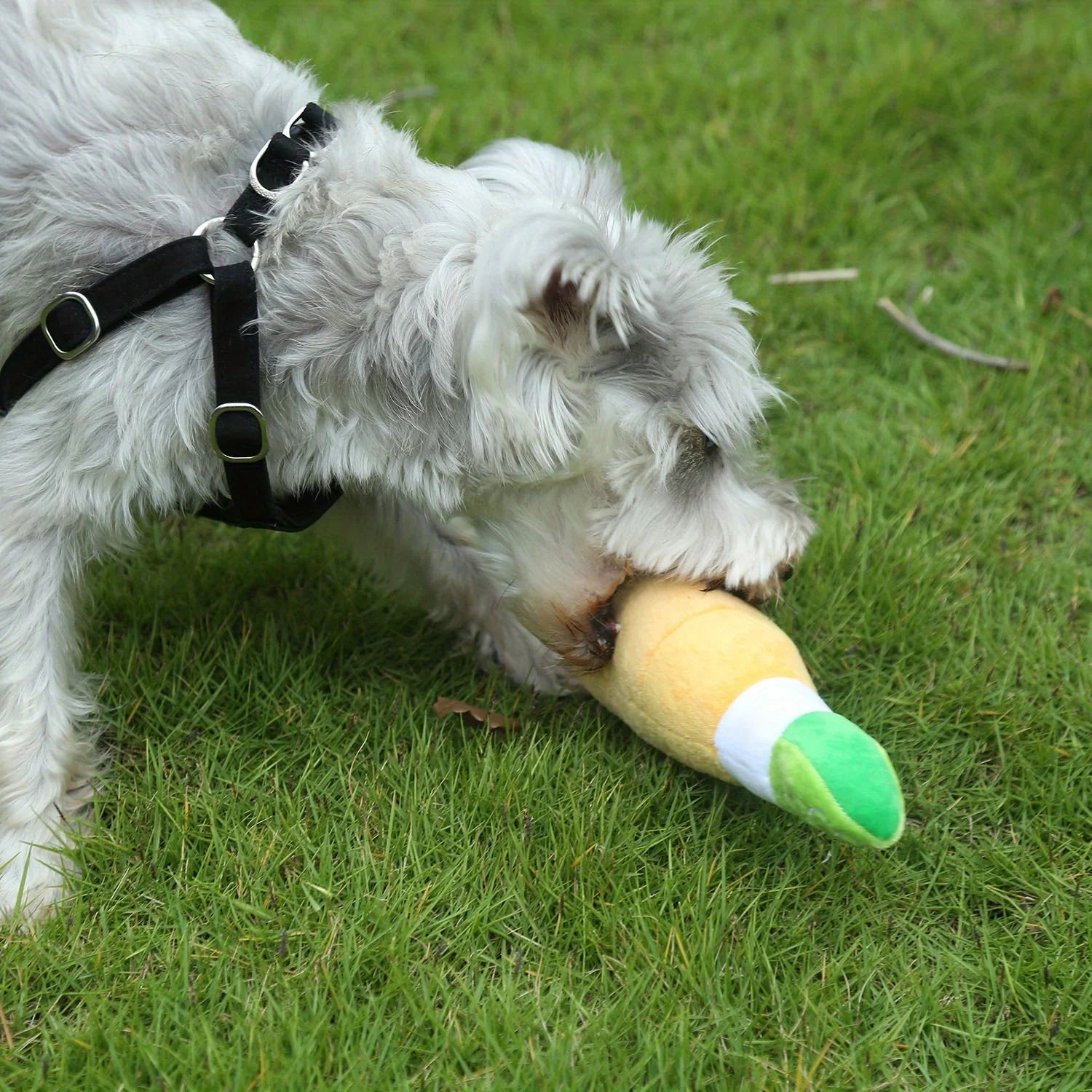 Pawrona Plush Beer Bottle Dog Toy