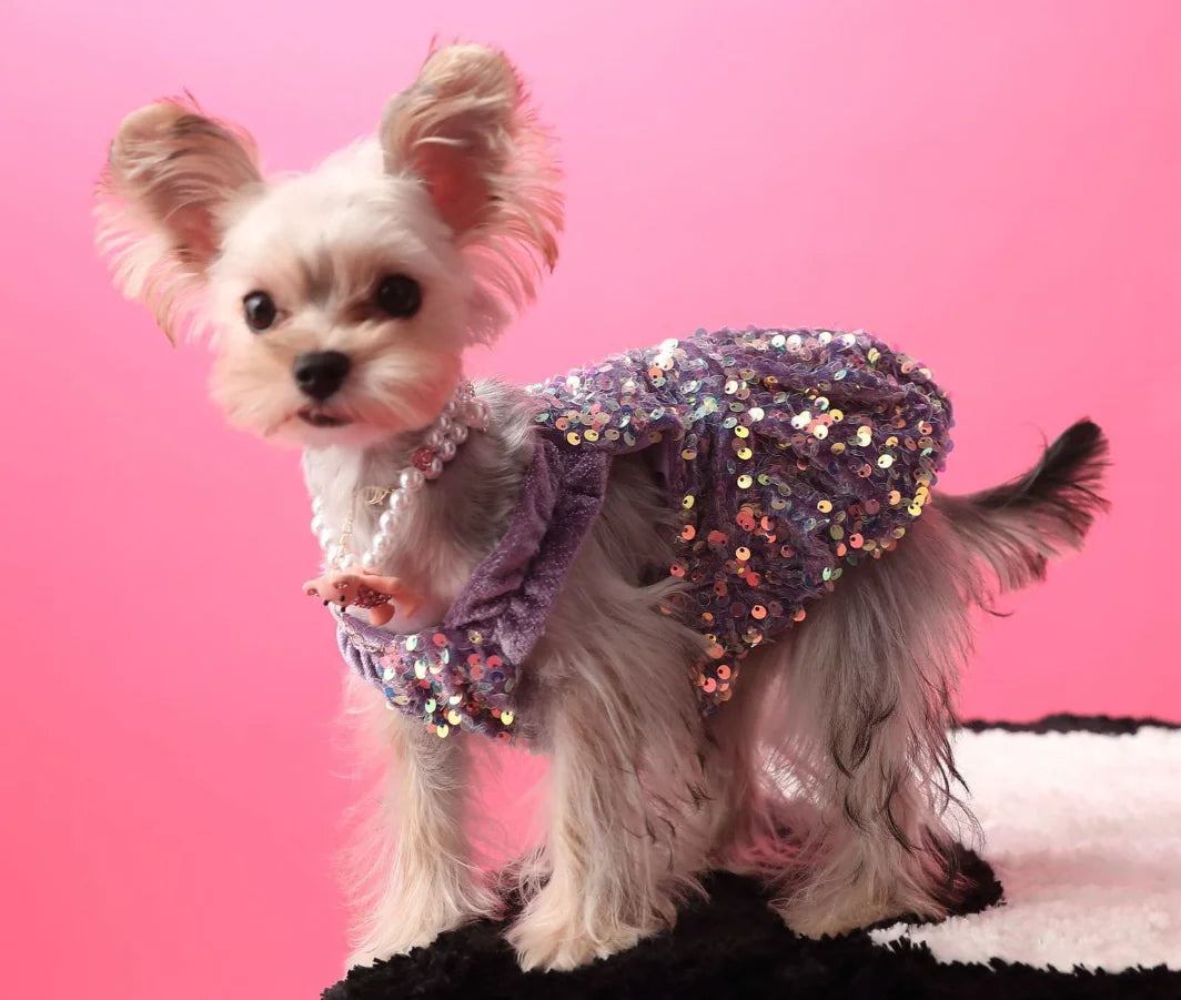 Glam Sequin Party Dress