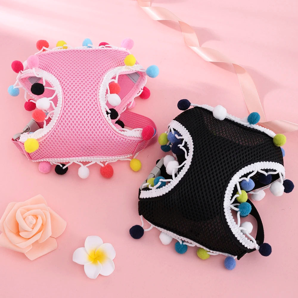 Rainbow Pom-Pom Dog Harness & Leash Set