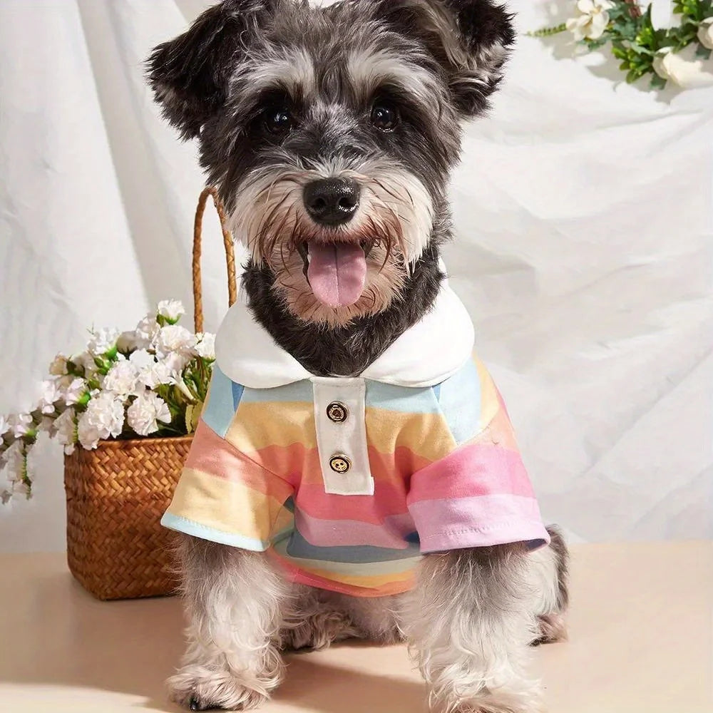 Rainbow Stripe Polo Shirt