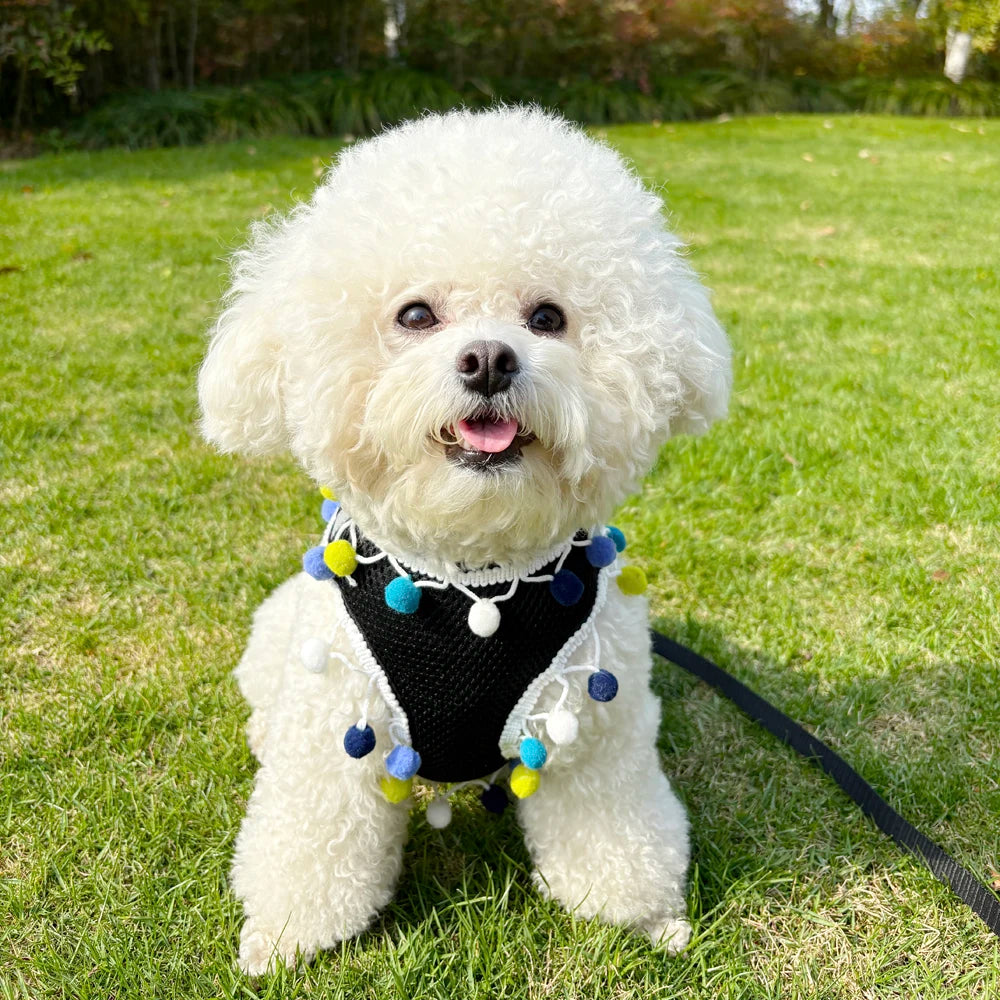 Rainbow Pom-Pom Dog Harness & Leash Set