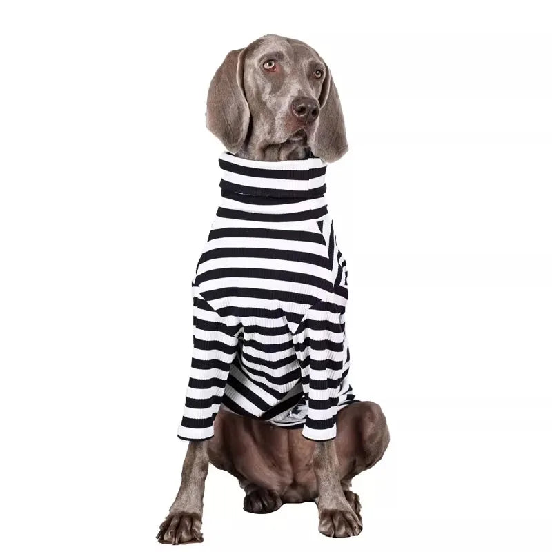 The Metro Stripe Turtleneck