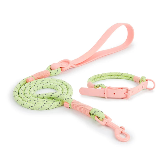 Bubblegum Trail Collar & Leash Set