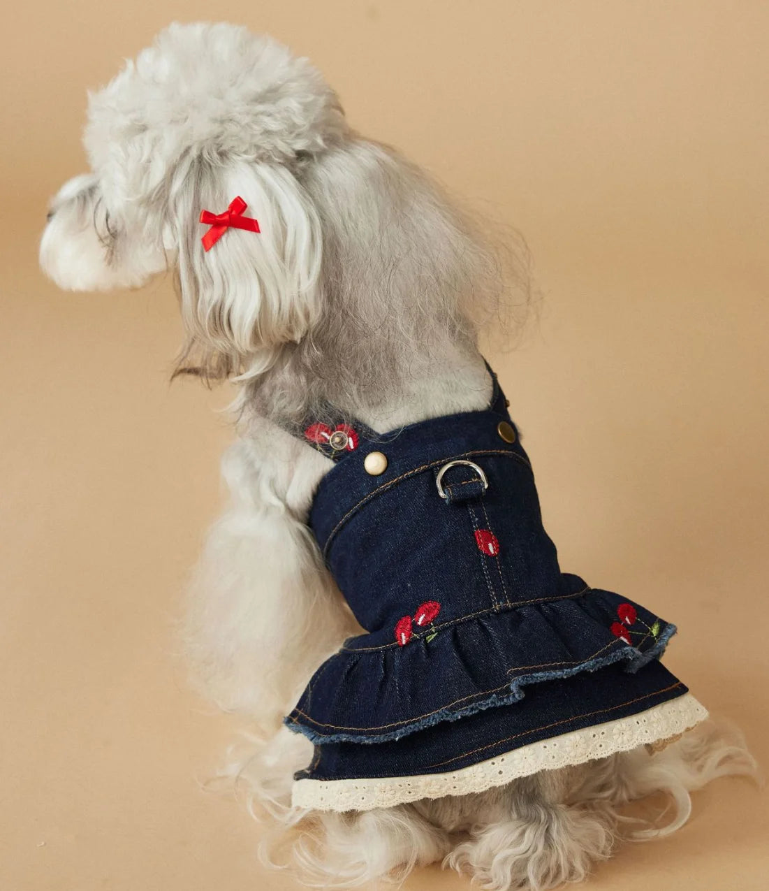 The Cherry Denim Dress