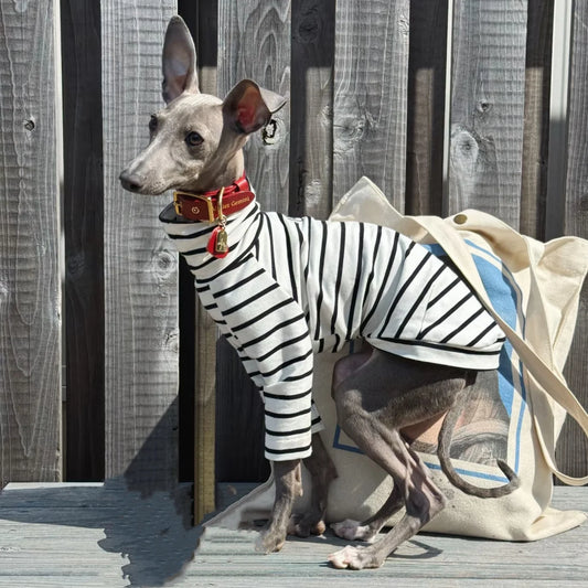 The Mono Stripe Turtleneck