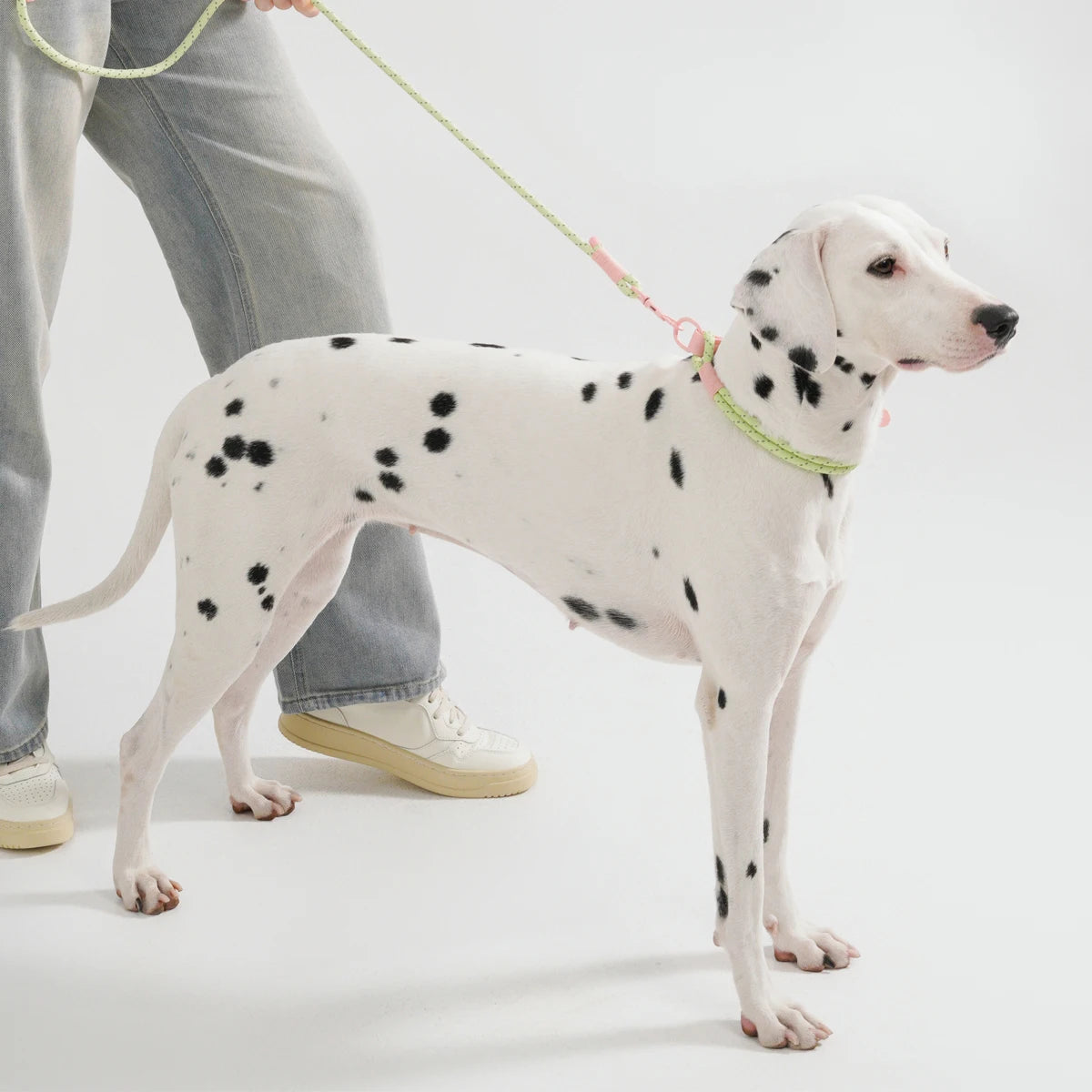 Bubblegum Trail Collar & Leash Set