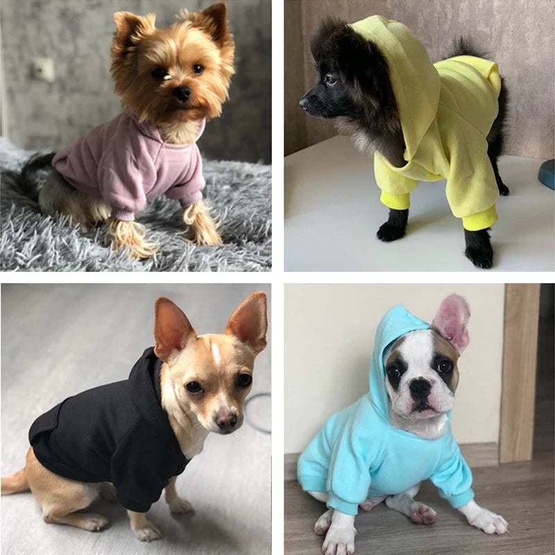 Everyday Pup Hoodie