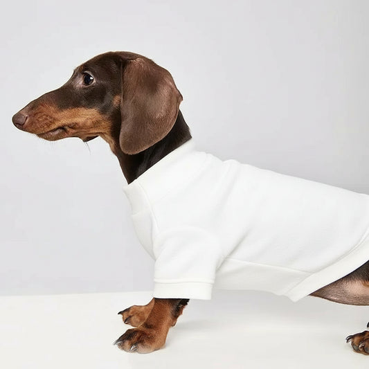 The Longbody Cozy Tee