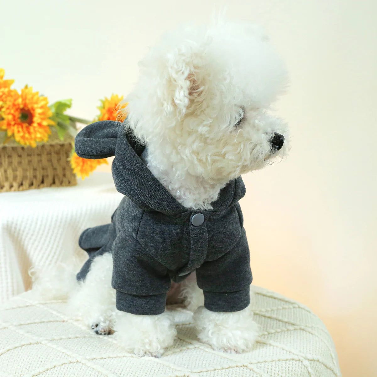 Monochrome Pocket Hoodie Dress