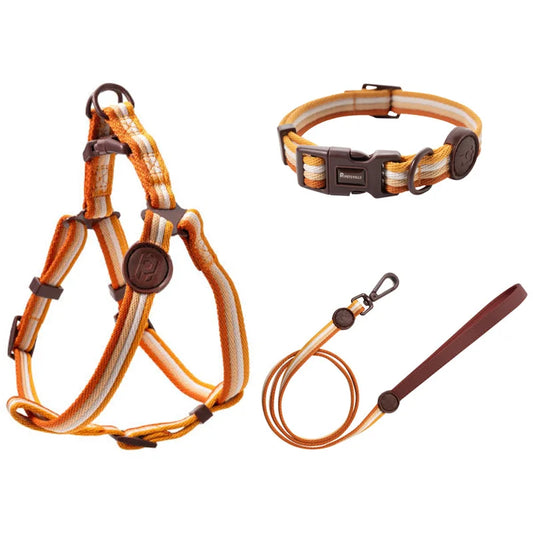 The Everyday Explorer Leash Set