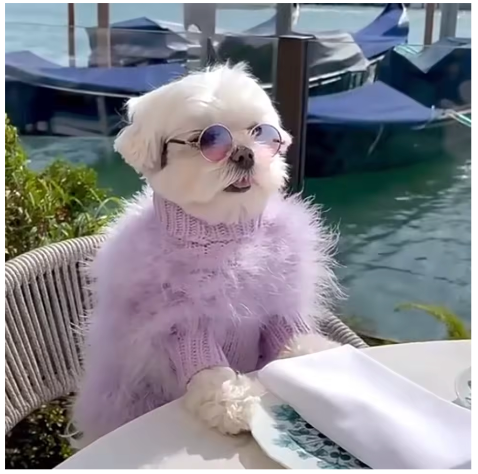 Fluffy Party Sweater