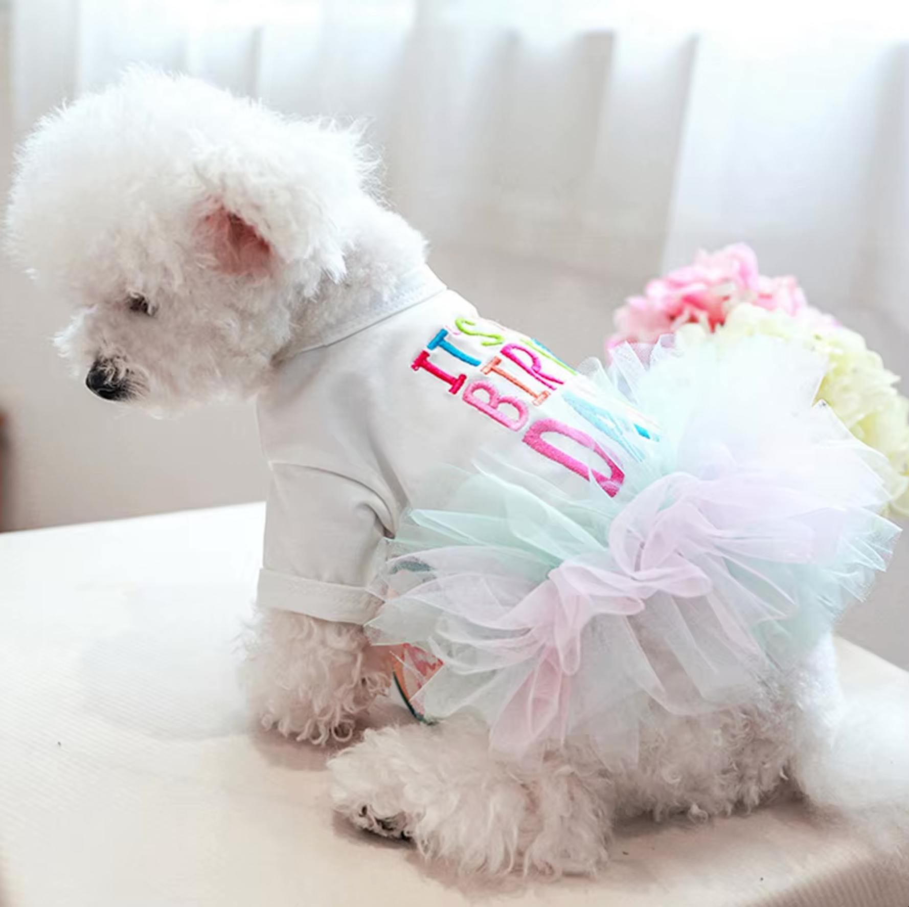 Princess "It's My Birthday" Dog Dress