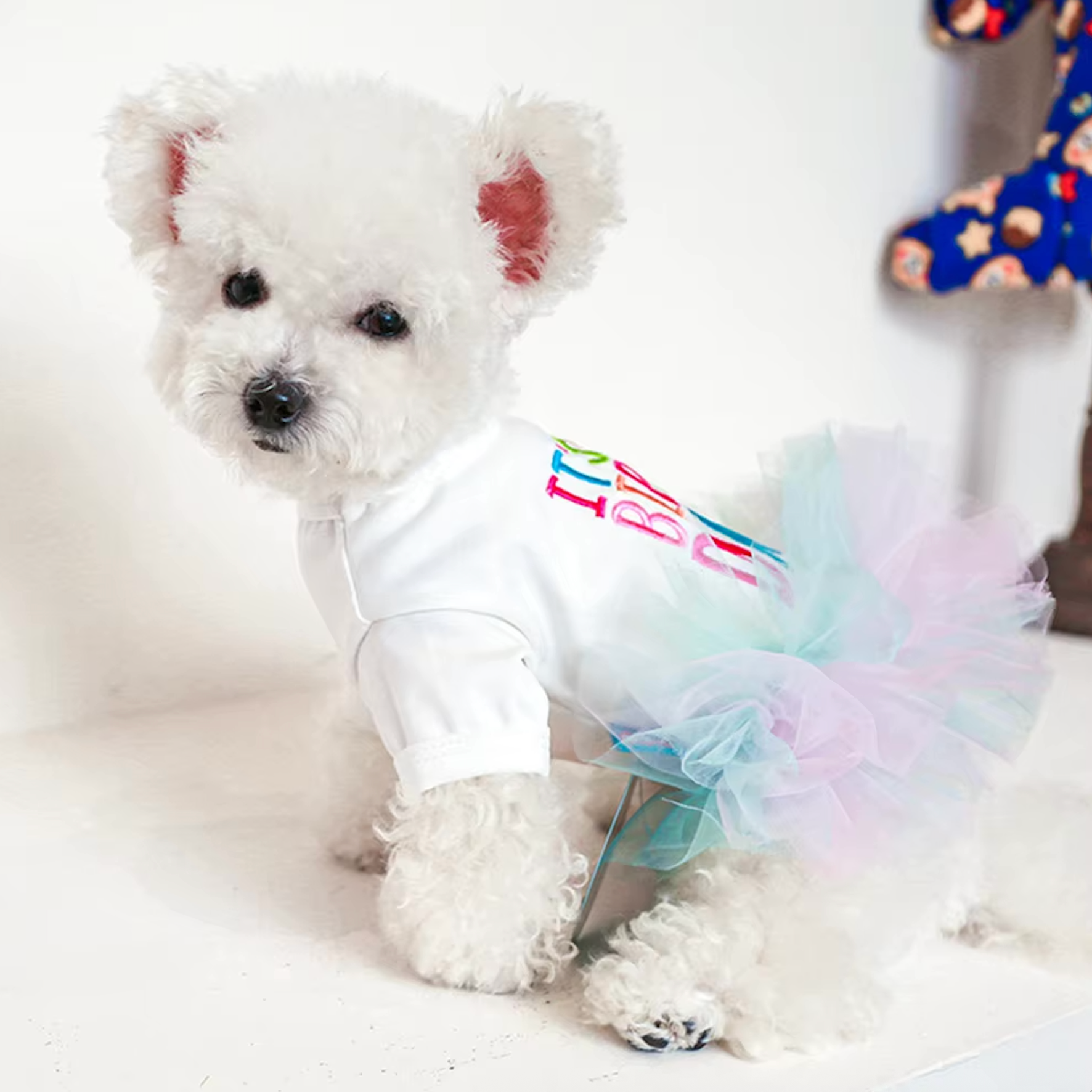 Princess "It's My Birthday" Dog Dress