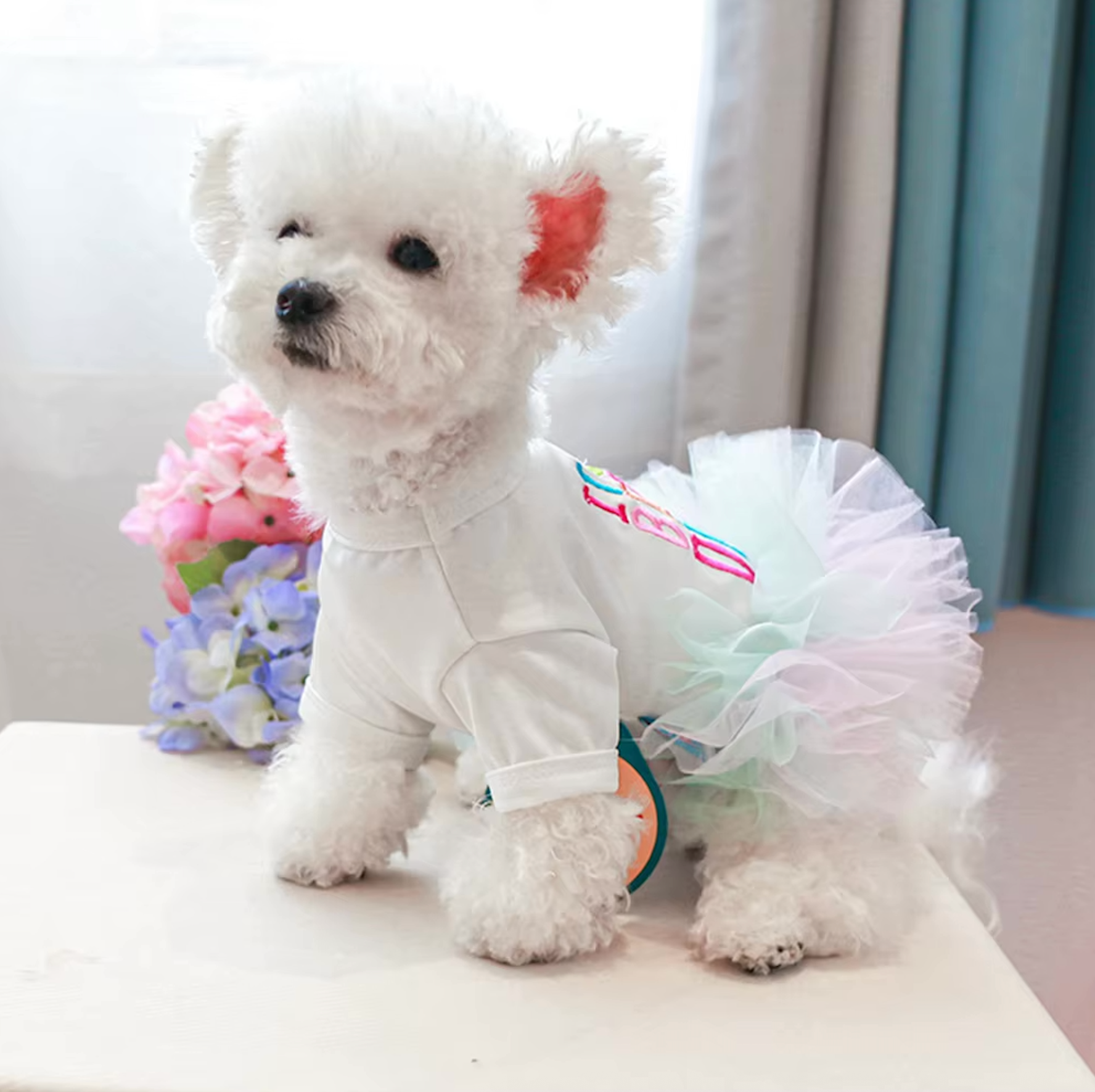 Princess "It's My Birthday" Dog Dress