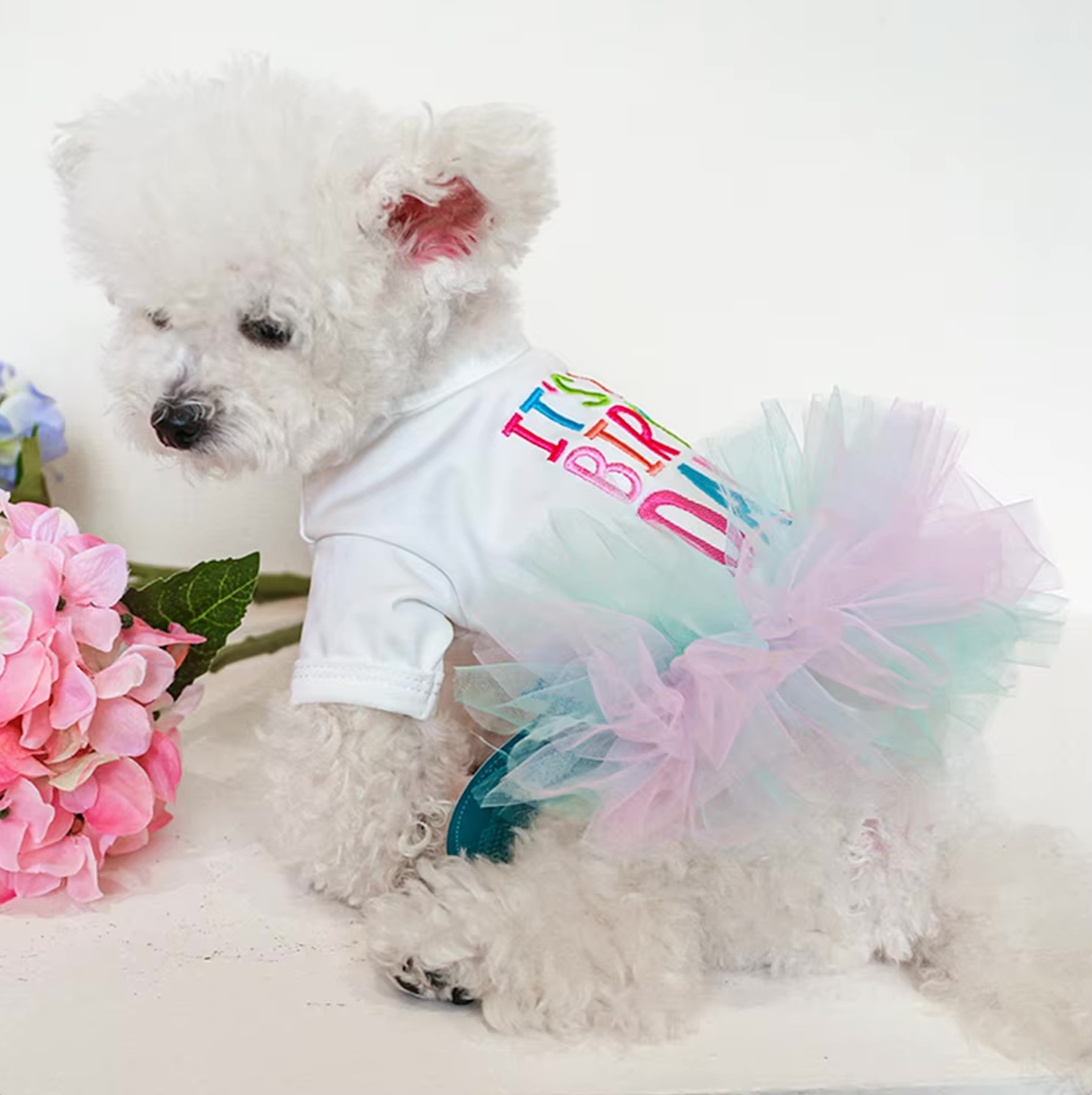 Princess "It's My Birthday" Dog Dress