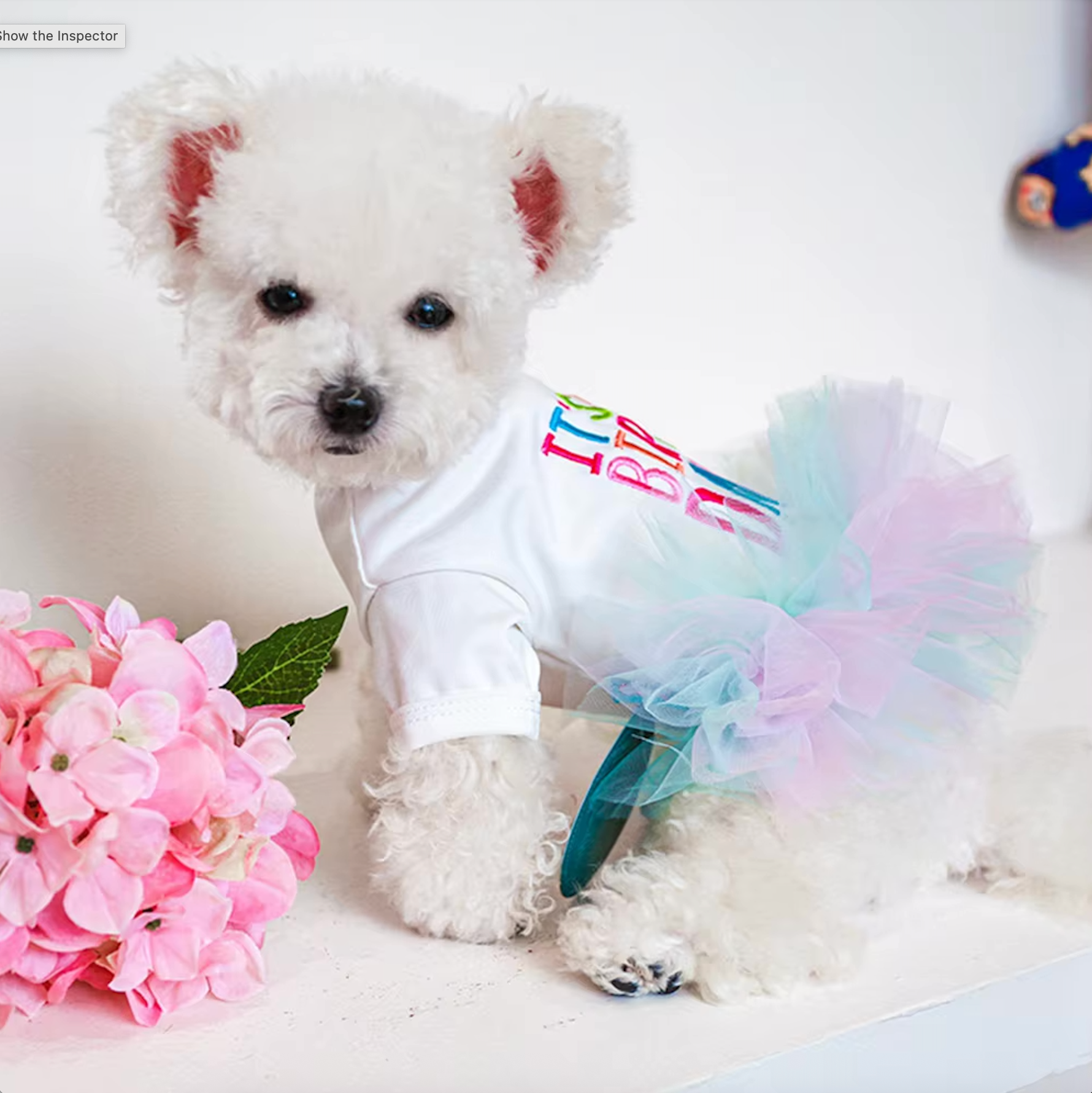 Princess "It's My Birthday" Dog Dress