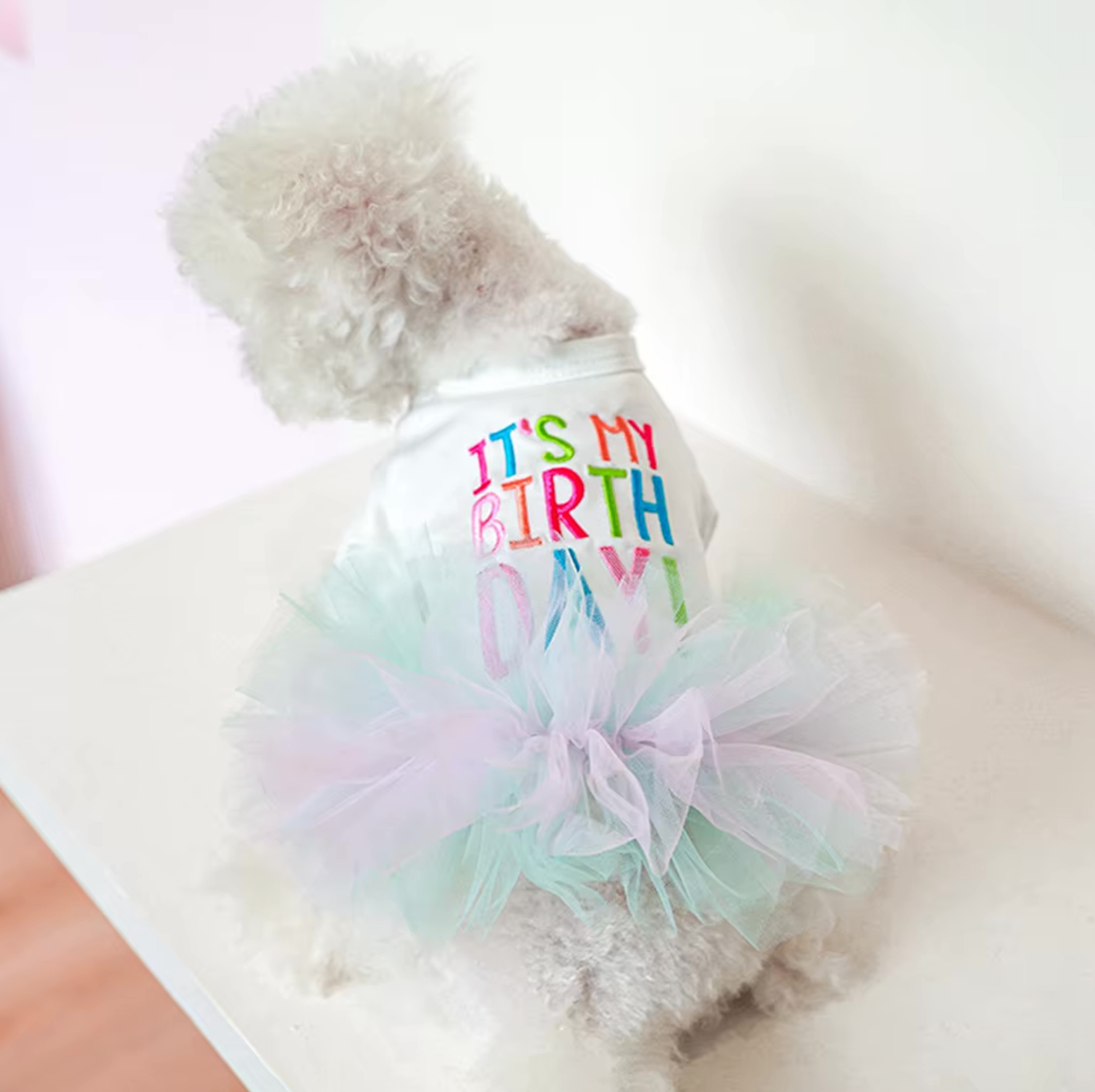 Princess "It's My Birthday" Dog Dress