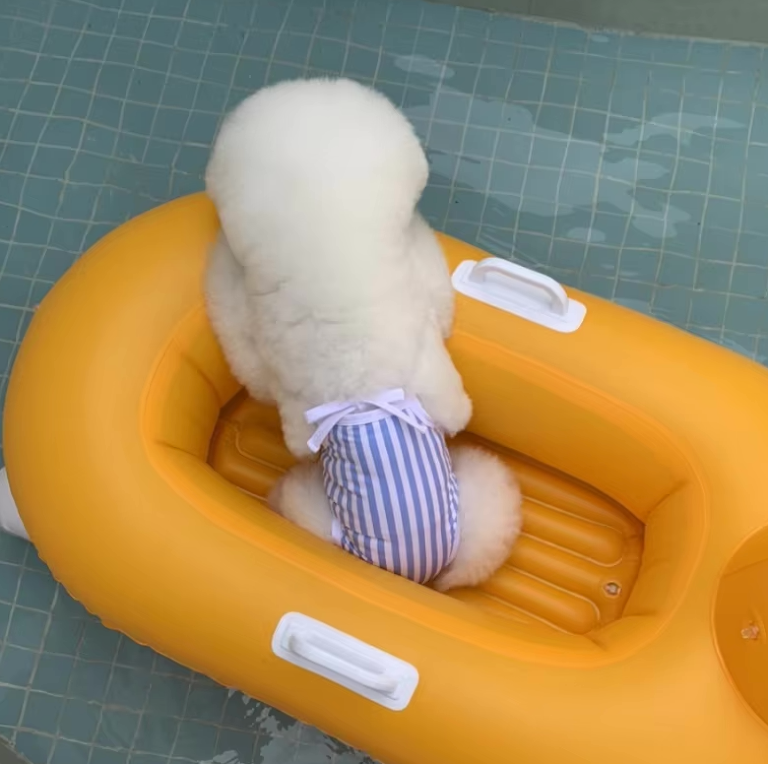 The Splash & Stripes Swimsuit