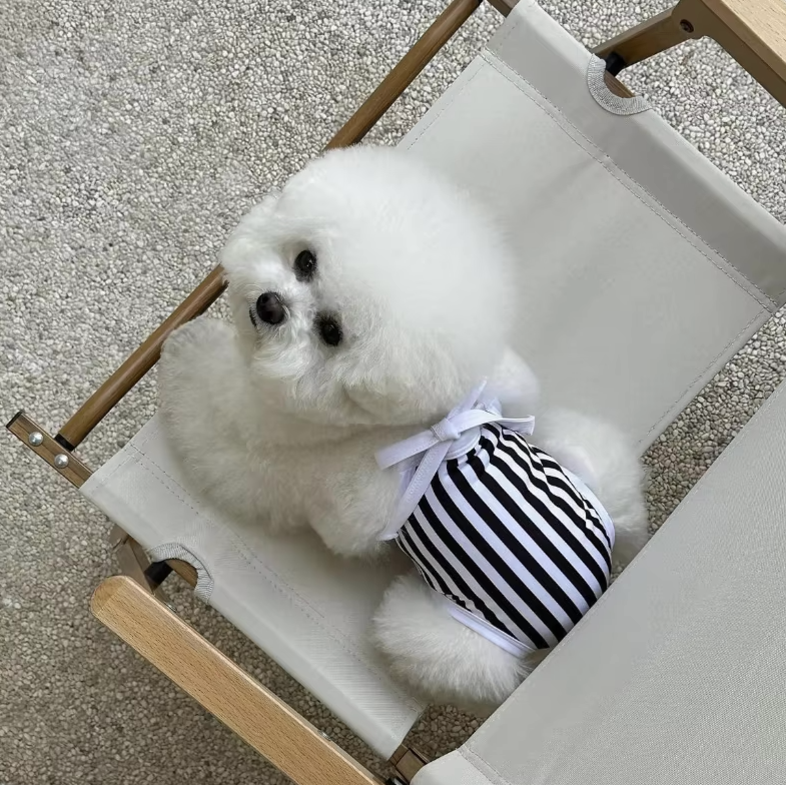 The Splash & Stripes Swimsuit