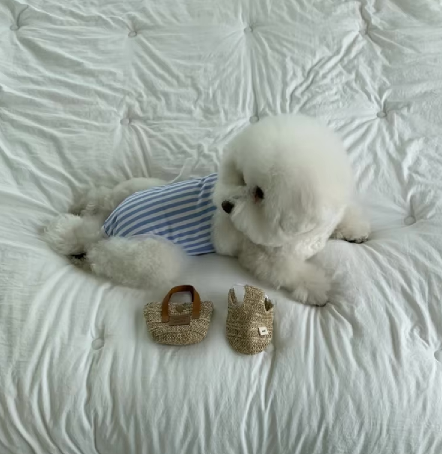 The Splash & Stripes Swimsuit