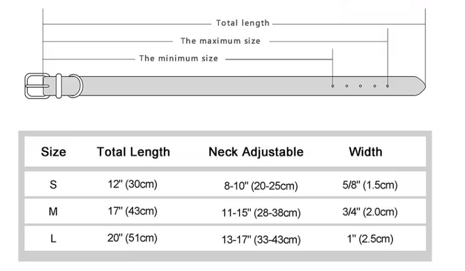 Personalized Bling Leather Collar