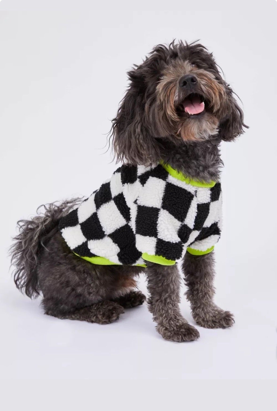 The Neon Check Snuggle Sweater