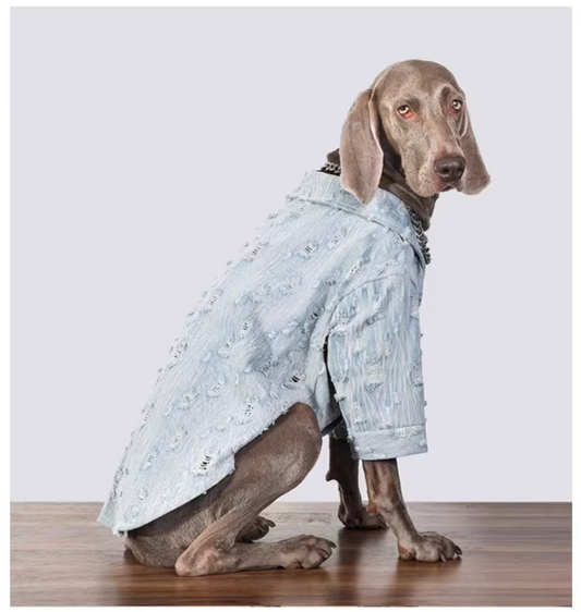 The Urban Distressed Denim Shirt