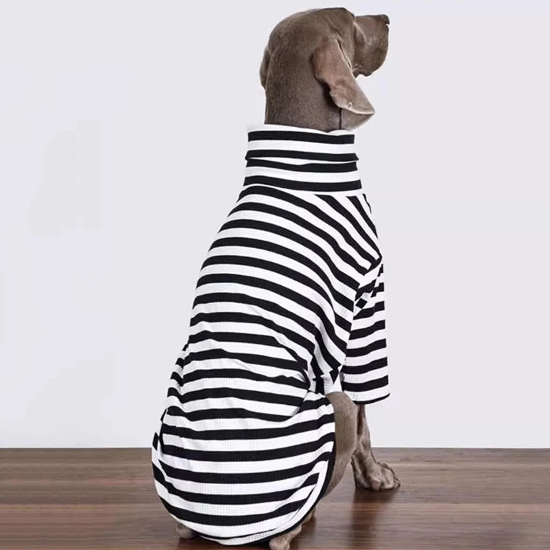 The Metro Stripe Turtleneck