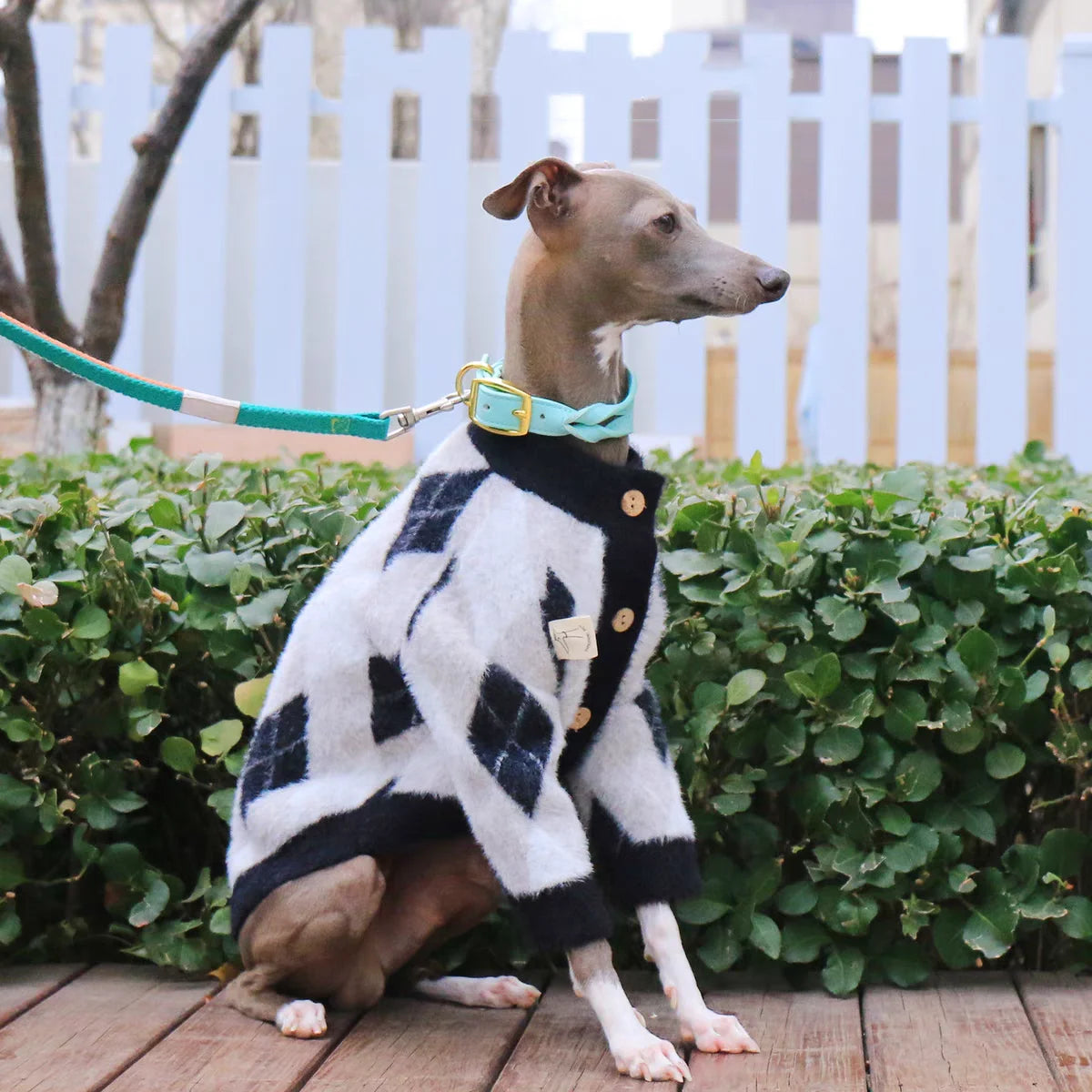 The Preppy Pup Cardigan