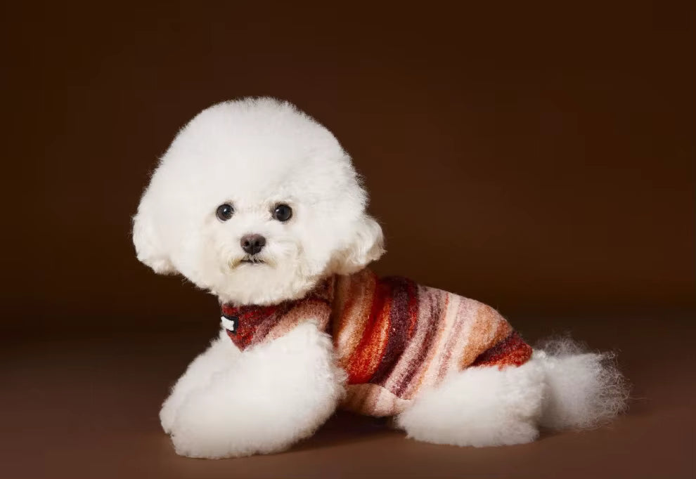 The Aura Stripe Sweater