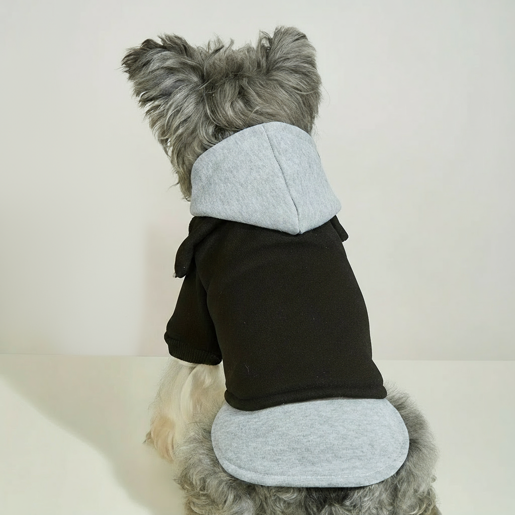 Street Layered Pup Hoodie