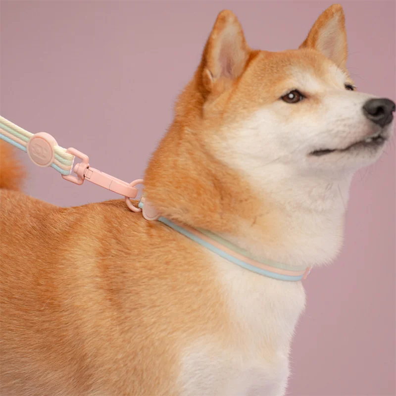 Pastel Leash Set