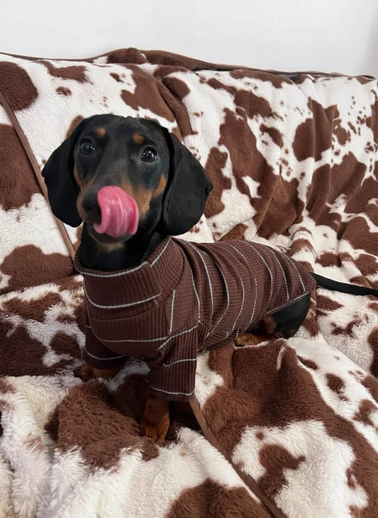 The Cocoa Stripe Sweater