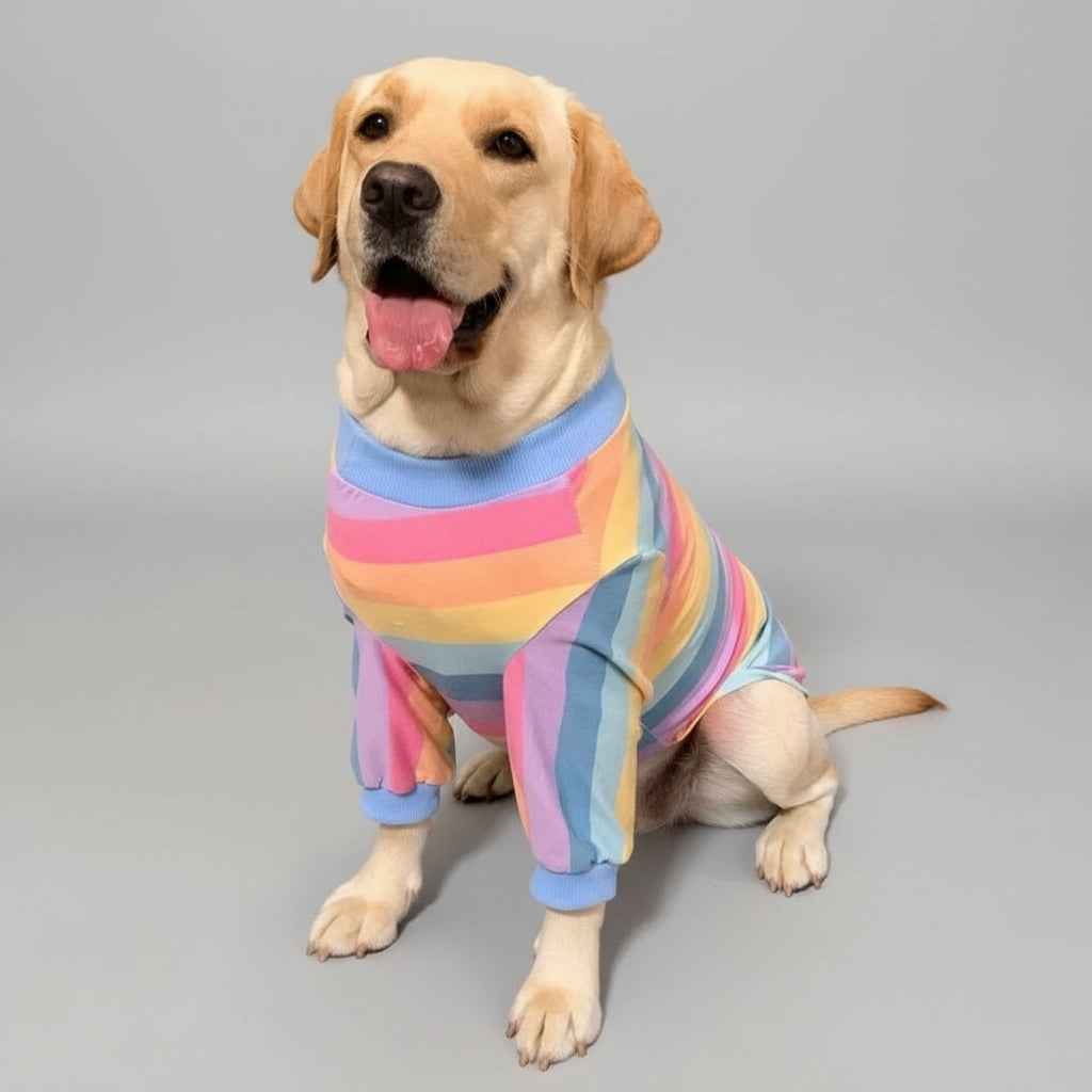 The Rainbow Dream Tee