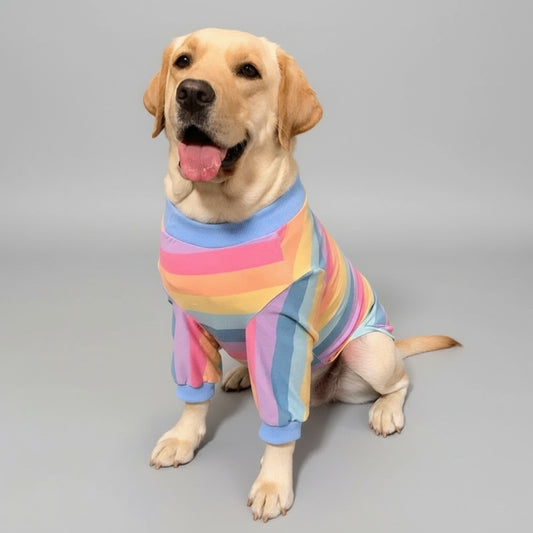 The Rainbow Dream Tee