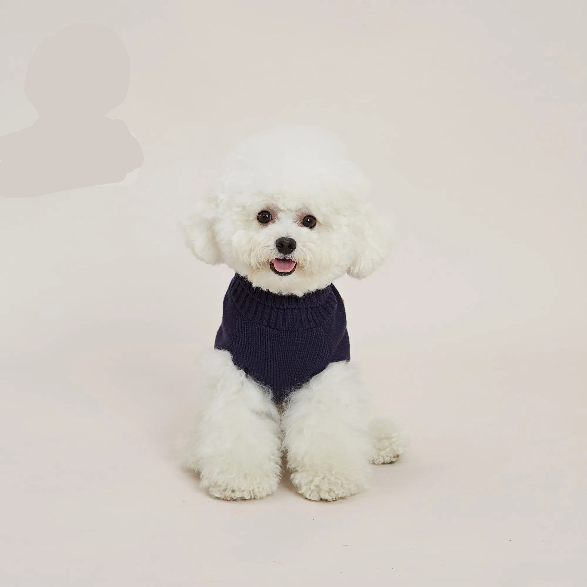Polka Dot Pom-Pom Sweater