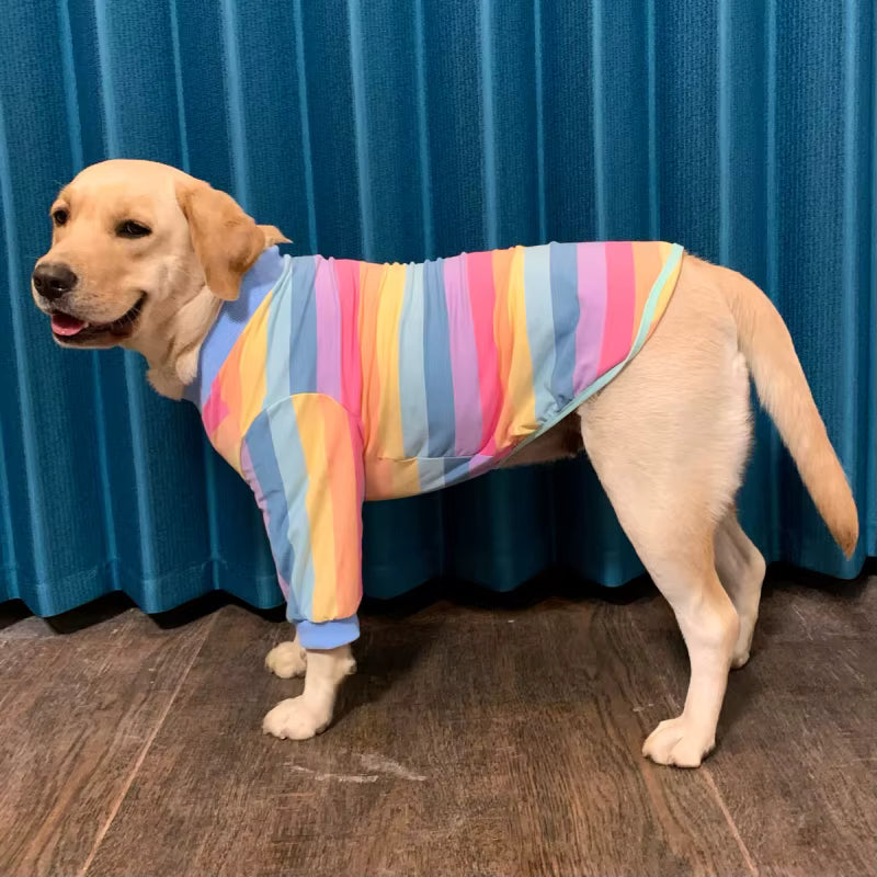 The Rainbow Dream Tee