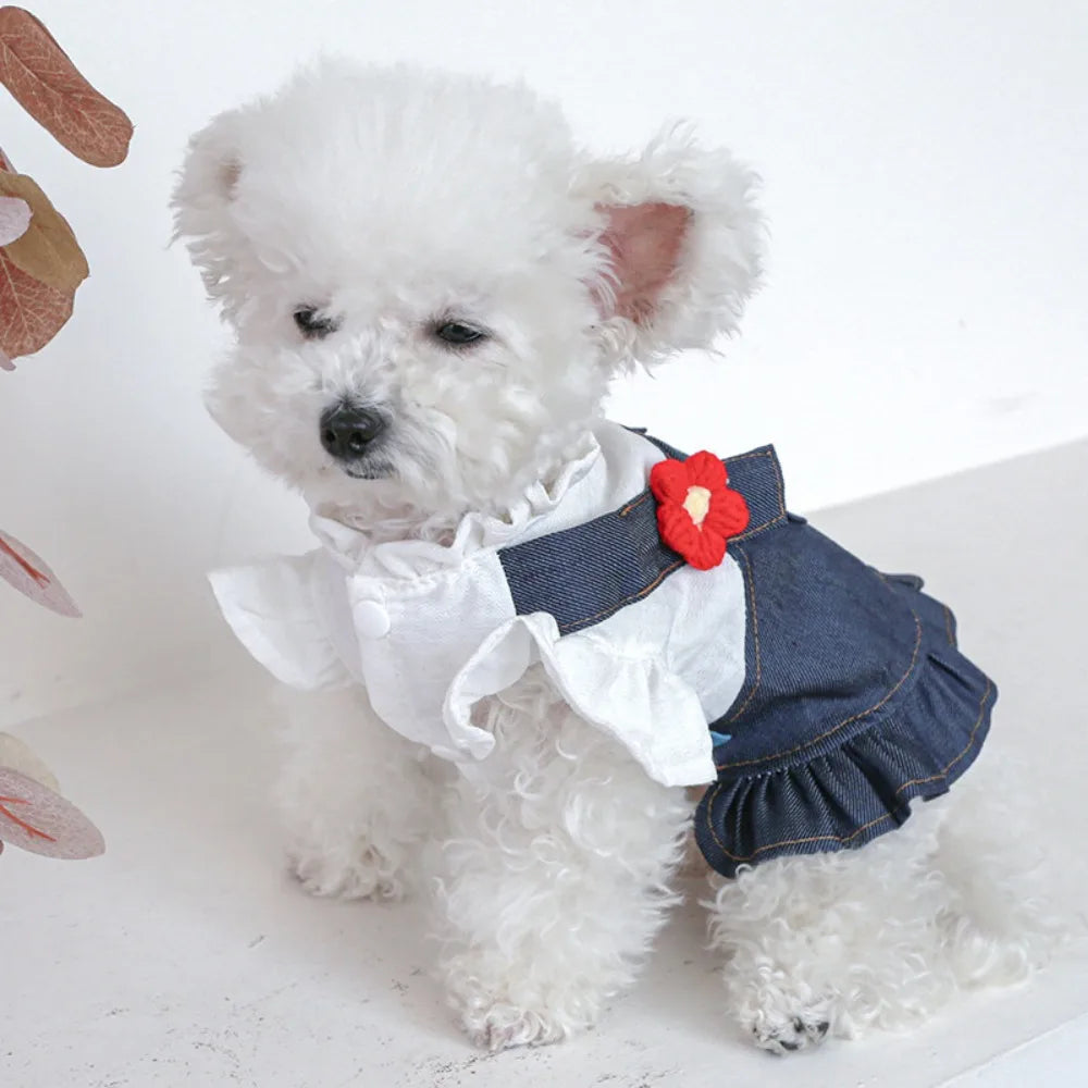 Denim Strap Dress for Dogs