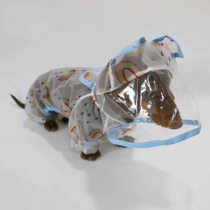 The Rainebow Waterproof Coat LB