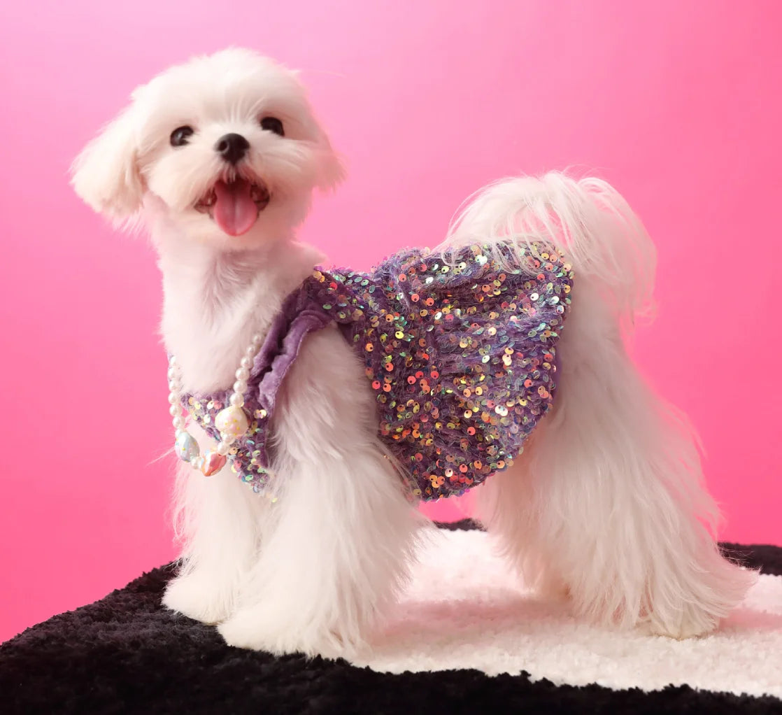 Glam Sequin Party Dress