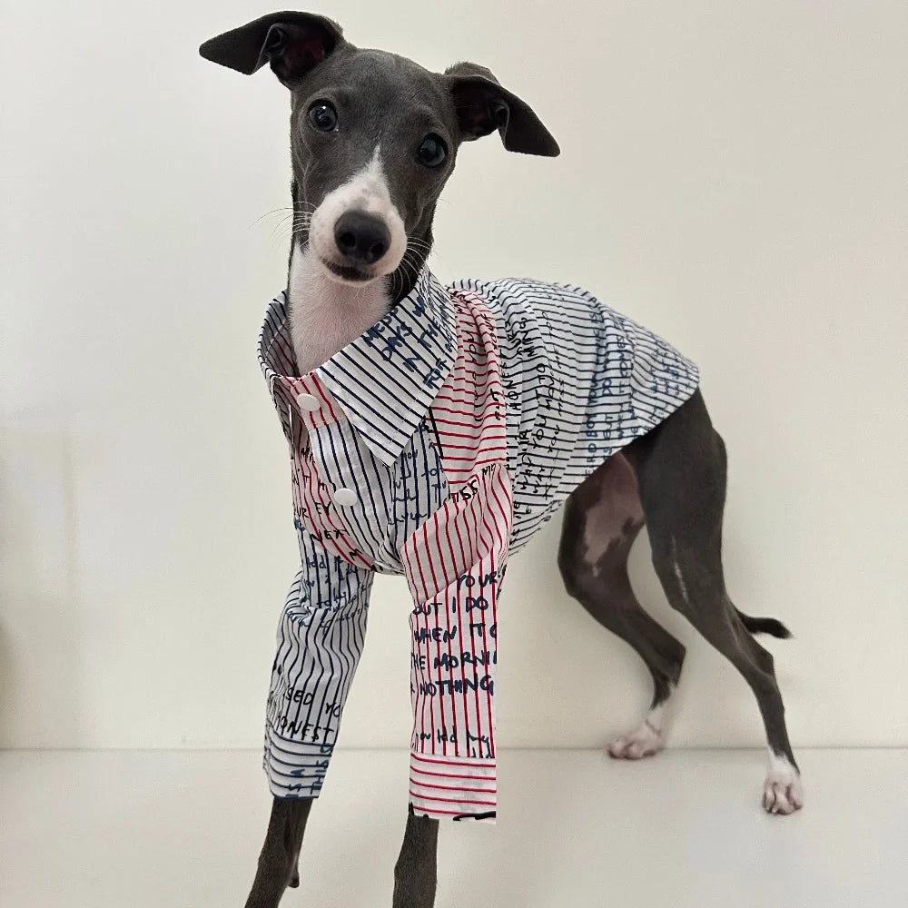 The Graffiti Stripe Button-Up