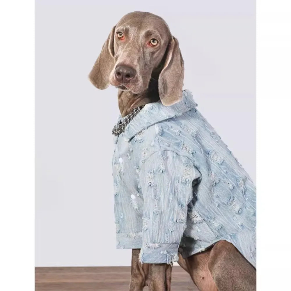 The Urban Distressed Denim Shirt