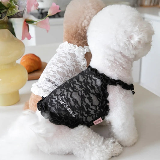 Rhinestone Lace Tank Top