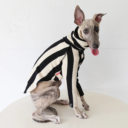 The Bold Stripe Turtleneck