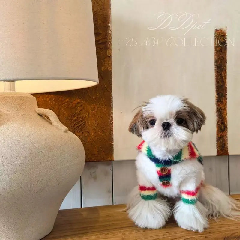 The Retro Rainbow Polo