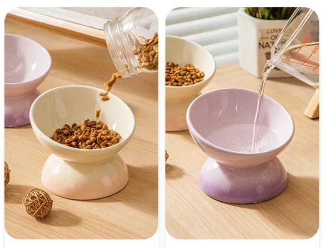 Tilted Gradient Ceramic Bowl