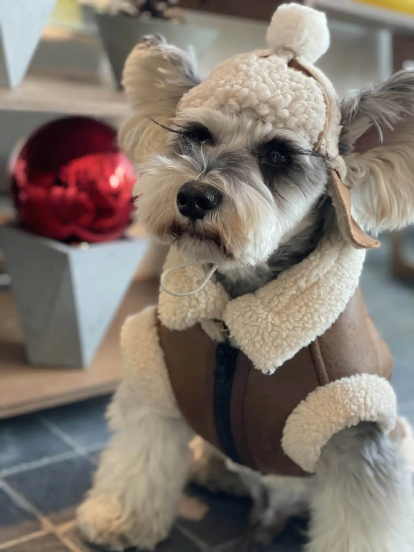 Faux Leather Dog Biker Jacket with Fur Trim
