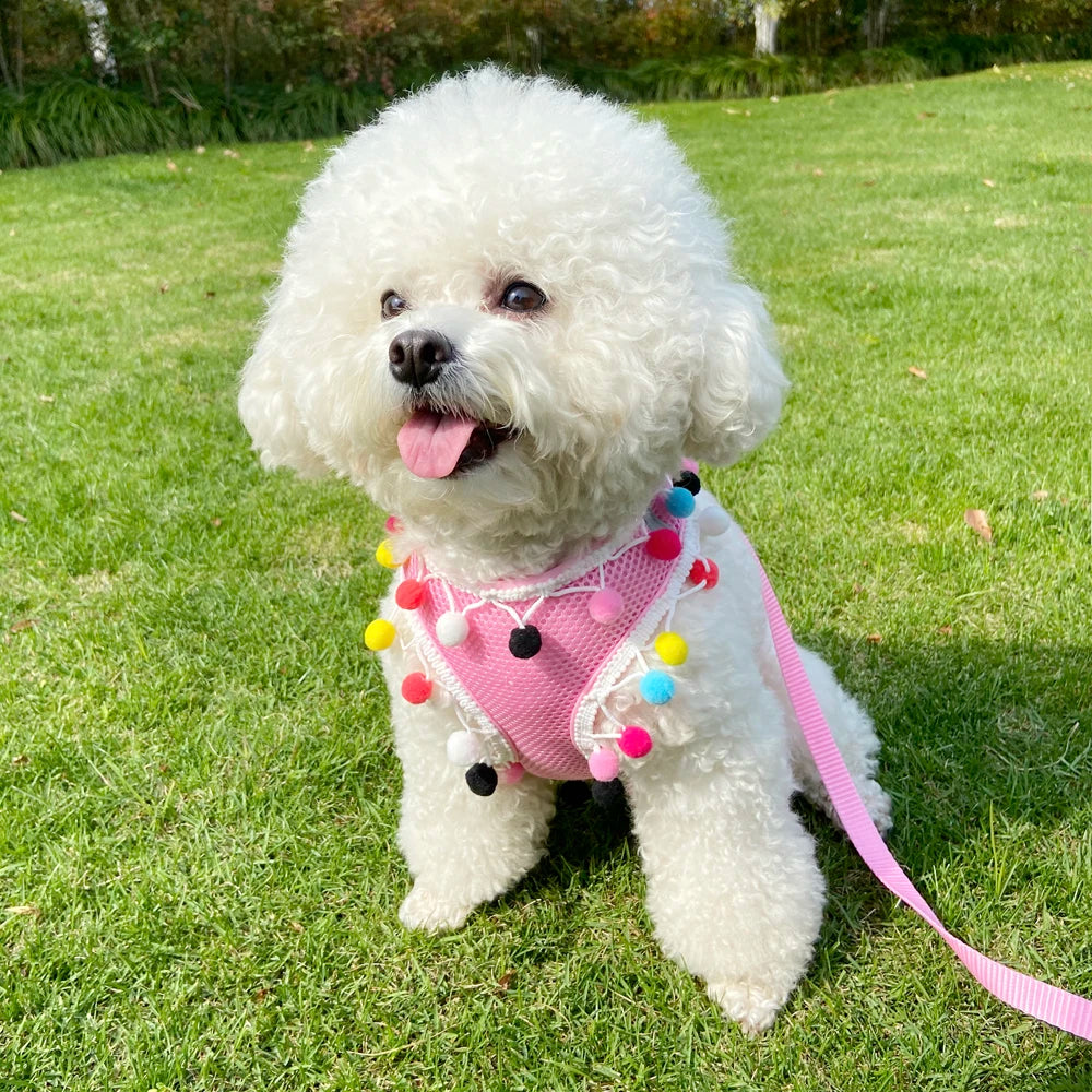 Rainbow Pom-Pom Dog Harness & Leash Set