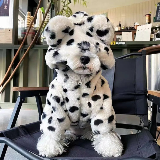 White Leopard Dog Coat