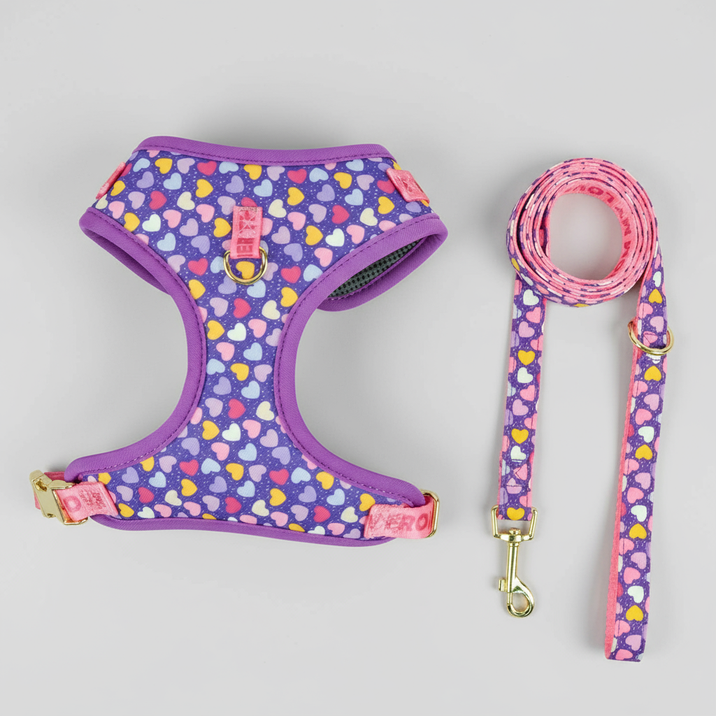 Luxe Love Pet Harness & Leash Set